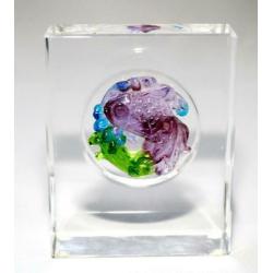 Prachtige Japanse Koi Karper Kristal Paperweight