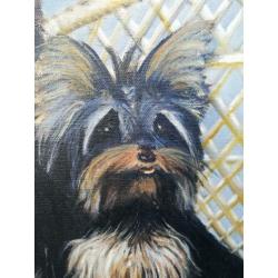 Yorkshire Terriers, sign. Olie/doek. 46 x 56 cm.