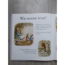 Mijn eerste boek over Pieter Konijn