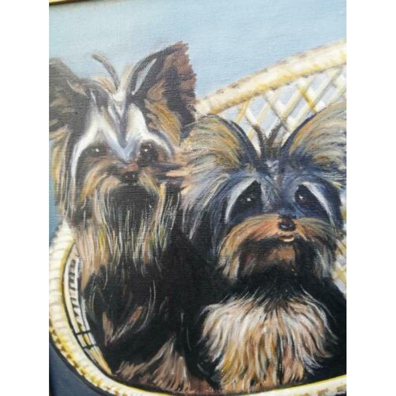 Yorkshire Terriers, sign. Olie/doek. 46 x 56 cm.