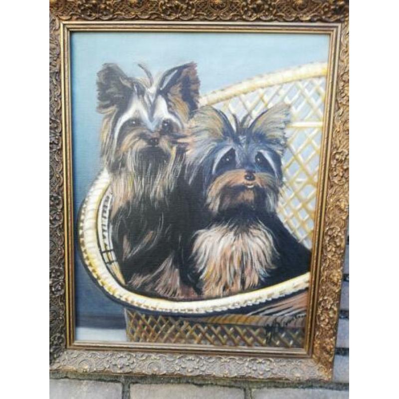 Yorkshire Terriers, sign. Olie/doek. 46 x 56 cm.