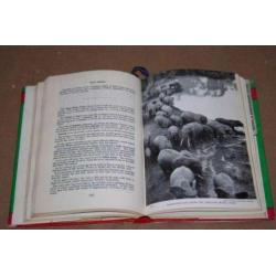 Yearbook and guide to East Africa - 1965 !!